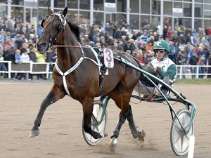 Derbyvinnare 2009